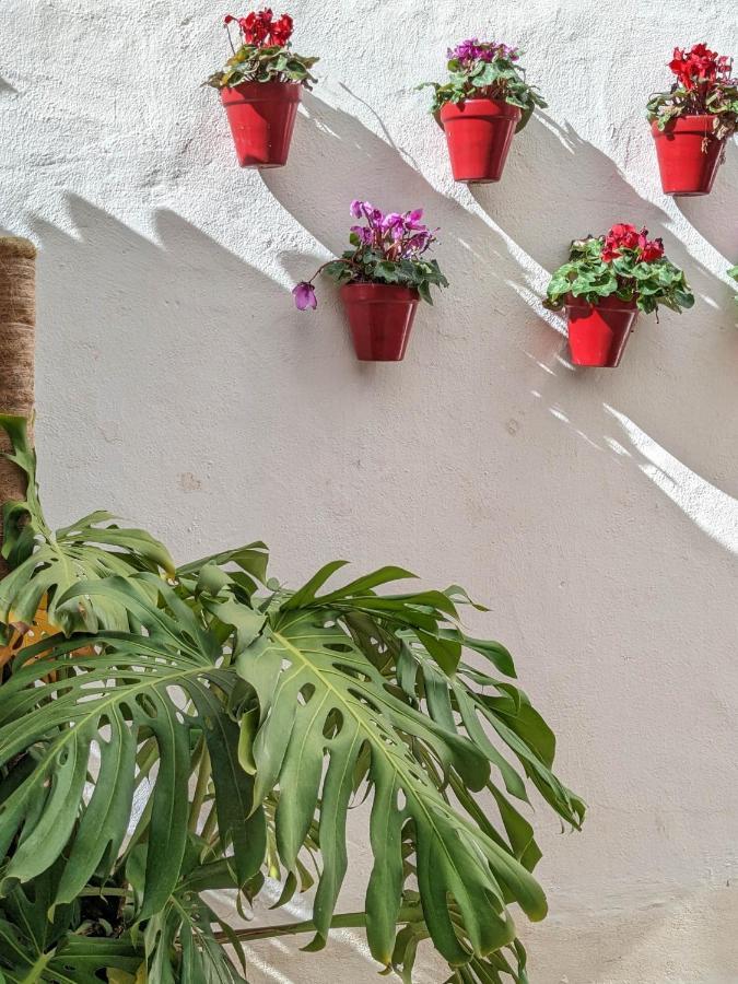 Harbor Getaway In The Heart Of Puerto Banus With Walking Dictance To Everything Marbella Exteriör bild